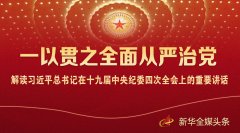 解读习近平总书记在十九届中央纪委四次