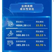 “智”胜！2020年科创板创业板上市公司业