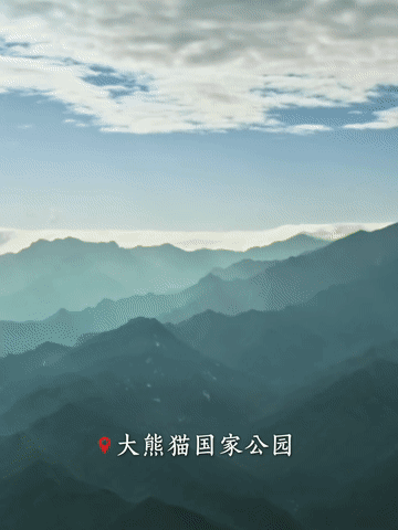 跟着总书记，从国家公园看“万物共生”
